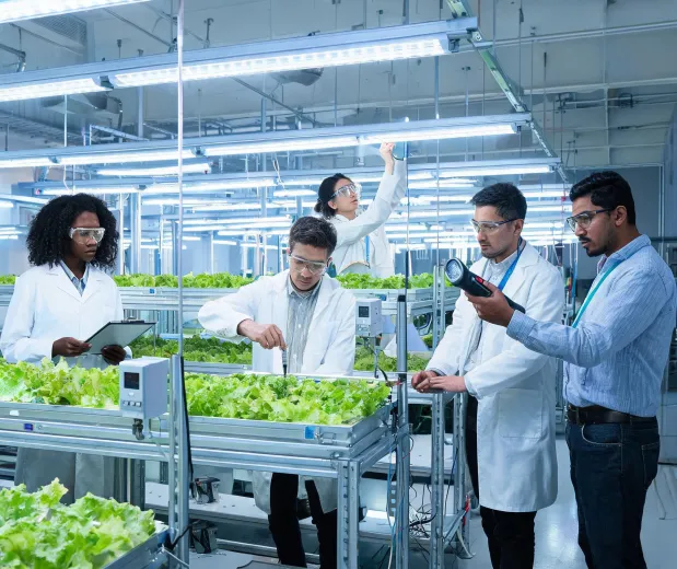 MEAN WELL lighting engineering team in a horticultural test facility