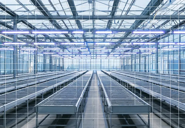 PPFD measurement map over greenhouse benches